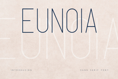 Eunoia Minimal Elegant Sans Serif Font Product Image 1