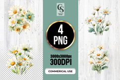 Soft White Daisy Watercolor PNG Product Image 1