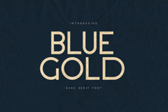 Blue Gold Textured Modern Sans Serif Product Image 1