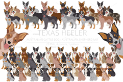 Texas Heeler dog Product Image 1