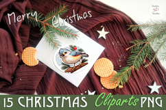 Birds Christmas Sublimation PNG Bundle Product Image 2