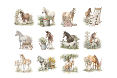 Watercolor Horse Clipart PNG Set Product Image 3