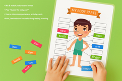 My Body Parts. Educational Flashcards Product Image 4