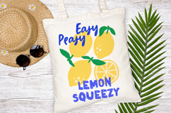 Summer Fruits Sublimation Bundle | Retro Summer DTF Prints Product Image 3