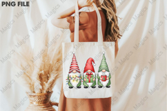 Christmas Gnome PNG Clipart Product Image 3