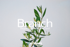 Spring Font Bundle Vol.1 Product Image 10