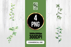 Watercolor Floral Vine Clipart Sublimation PNG Product Image 1