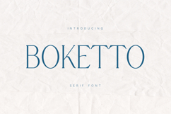 Boketto Elegant Contemporary Serif Font Product Image 1
