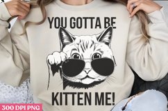 You gottaa be kitten me PNG, Funny Cat Lover Subl Product Image 2