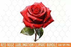 Watercolor Red Roses Clipart, Red Rose Png Clip Art Product Image 1