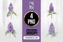 Watercolor Lilac Flower Clipart Sublimation PNG Product Image 1