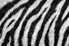 Black and White Animal Fur Stripe Texture Background JPG Product Image 1