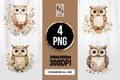 Floral Owl Watercolor Illustration Clipart Sublimation PNG Product Image 1