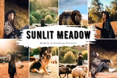 10 Sunlit Meadow Mobile Lightroom Presets Product Image 1