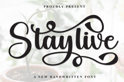 Staylive Product Image 1