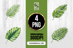 Green Tropical Palm Leaf Watercolor Clipart Sublimation PNG Product Image 1