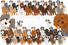 Cockapoo. Cocker Spaniel-Poodle mix Product Image 1