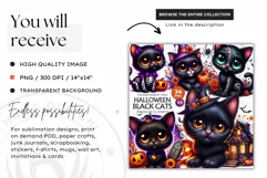 Halloween Black cat Clipart, halloween clipart, wizard PNG Product Image 2
