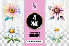 Colorful Daisy Flower Clipart Sublimation PNG Product Image 1