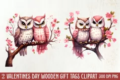 Couple Owl Valentines Day Clipart, Couple Owl Clipart Product Image 2