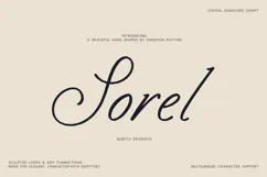 Sorel Lyrical Signature Script Font Product Image 1