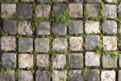 Stone Pavement Texture with Moss Background Design Product Image 1