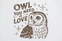 Vintage Funny Sarcastic Animal Owl You Need Is Love PNG Product Image 1