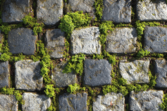 Stone Pavement Background with Bright Green Moss Texture Product Image 1