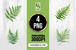 Watercolor Fern Leaves Clipart PNG Product Image 1