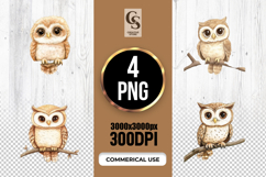 Cute Owl on Branch Watercolor Clipart Sublimation PNG Product Image 1
