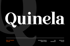 Quinela - Luxury Serif Family with 6 Weights Product Image 1