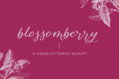 Blossomberry Font Product Image 1