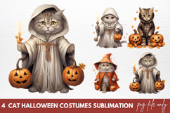 Cat Halloween Costumes clipart Designs Product Image 1