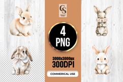 Cute Watercolor Bunny Illustration Clipart Sublimation PNG Product Image 1
