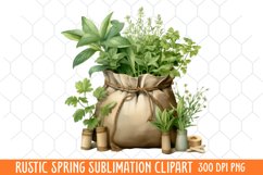 Rustic Spring Clipart, Vintage Spring Clipart Product Image 2