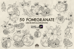 Pomegranate Procreate stamp brushes Product Image 1