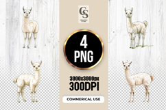 Cute Llama Watercolor Clipart Sublimation PNG Product Image 1