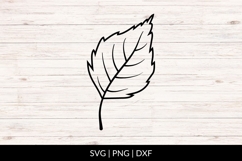 Hand Drawn Autumn Leaf SVG Product Image 1