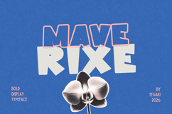 Maverixe Product Image 1