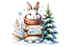 Hellow Winter Clipart - PNG File Product Image 1