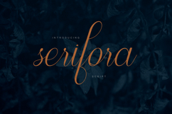 Serifora Elegant Signature Script Font Product Image 1