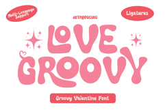 Love Groovy is a Display Font Product Image 1