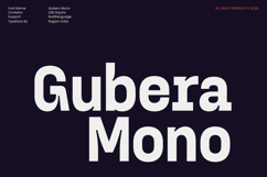 Gubera Mono - Bold Monospace Modern Font Product Image 1