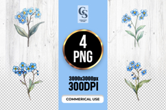 Forget Me Not Watercolor Floral Clipart Sublimation PNG Product Image 1