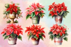 Christmas Houseplants Clipart Bundle, Christmas Bundle Product Image 2