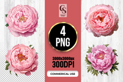 Pink Peony Flower Clipart Sublimation PNG Product Image 1