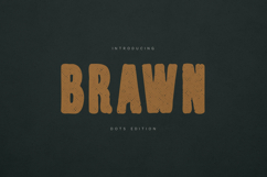 Brawn Display Font Bold Retro Distressed Product Image 1