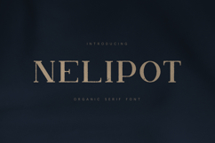 Nelipot Organic Serif Font Product Image 1