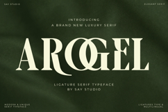 Arogel - Luxury Ligature Serif Font Product Image 1