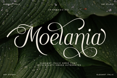 Moelania - Luxury Wedding Serif Font Product Image 1